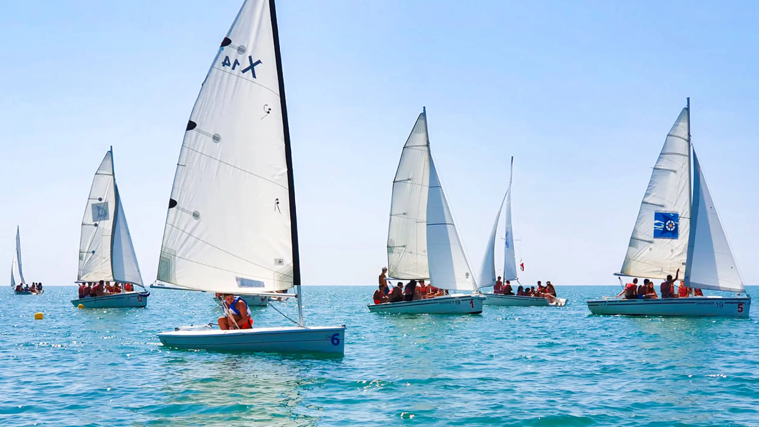 Groups of students learning to sail dinghies on a calm blue sea