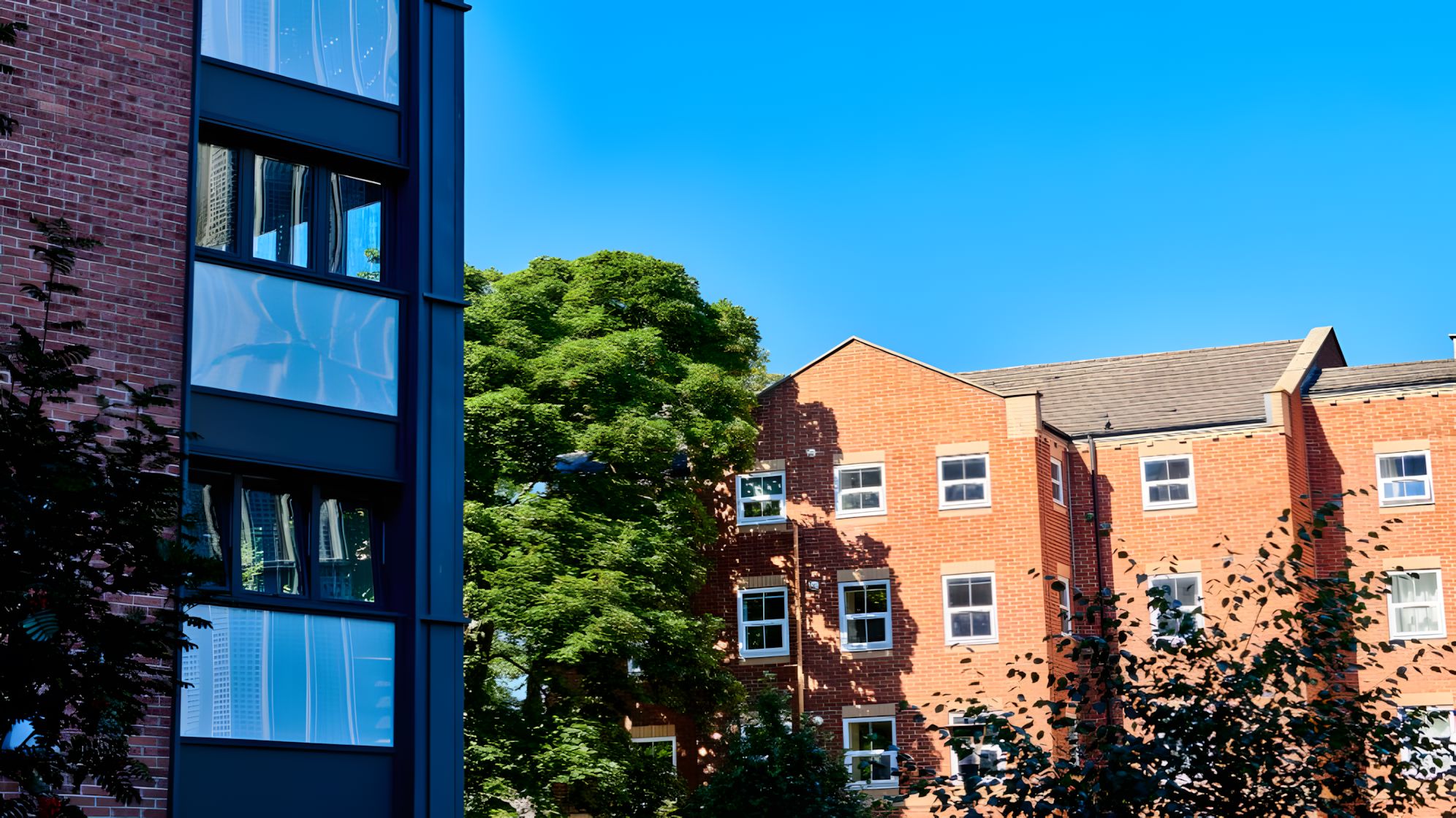 Newcastle-university-mla-3