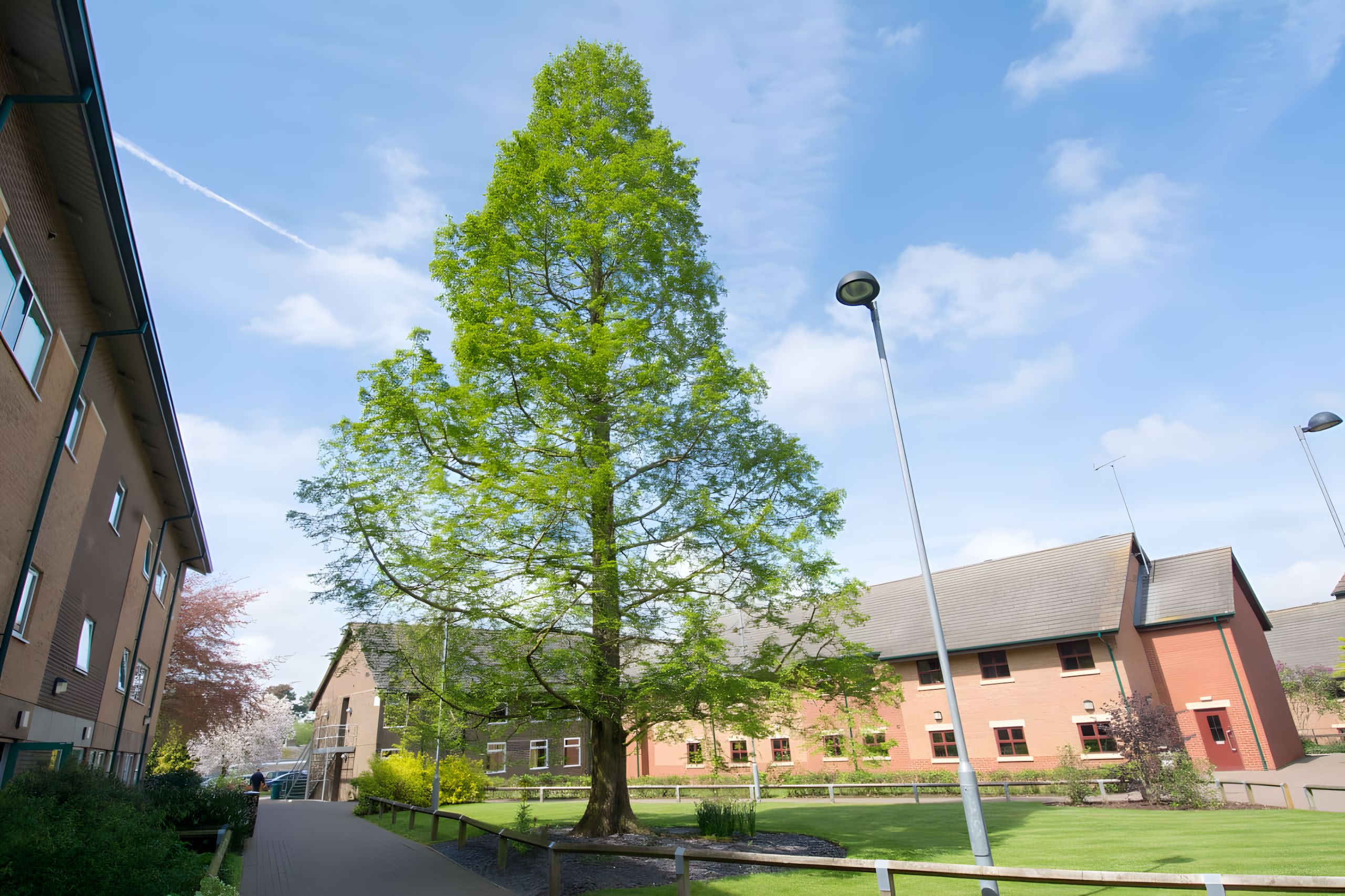 Northampton-moulton-college-mla-1