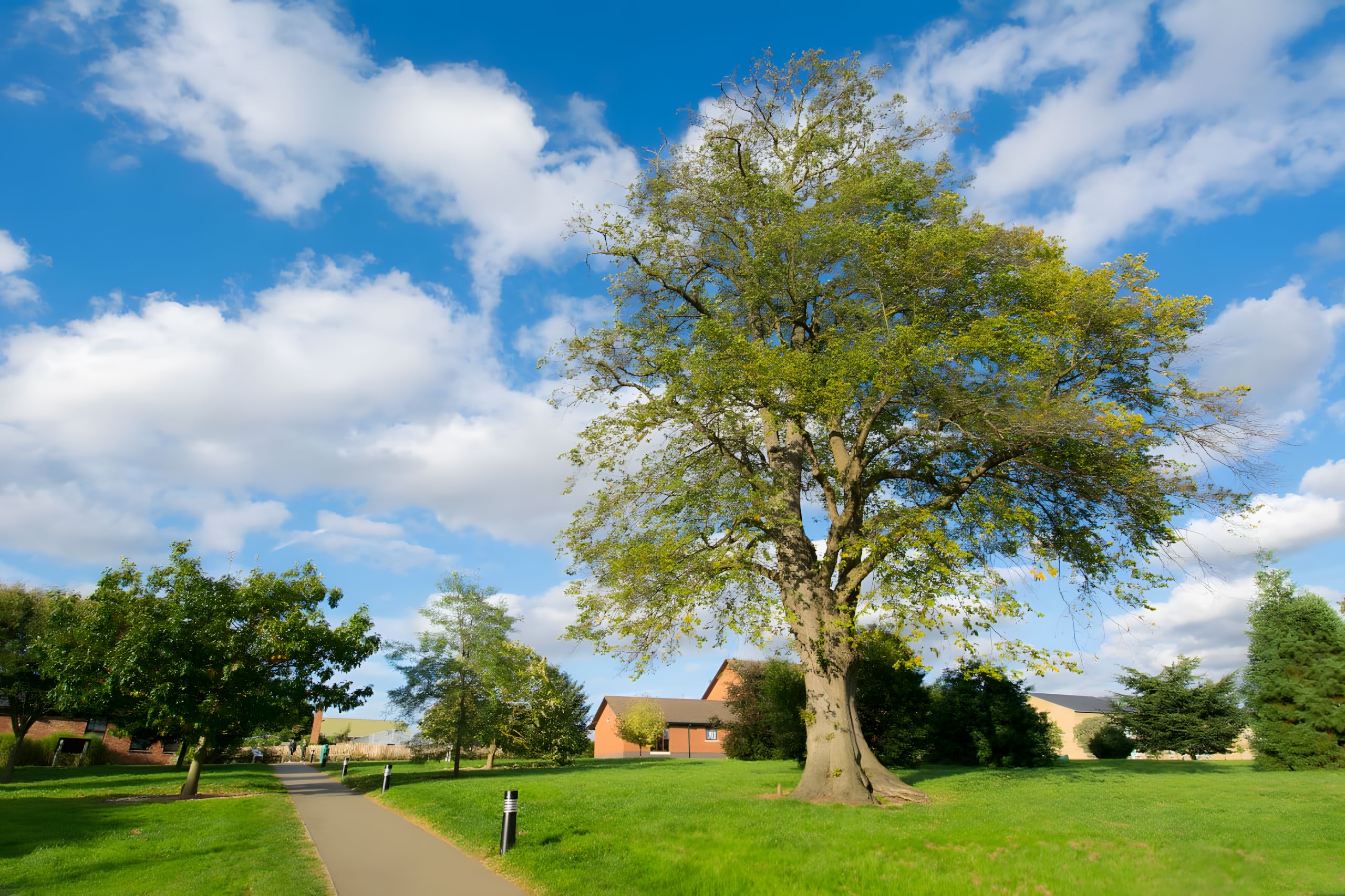 Northampton-moulton-college-mla-14