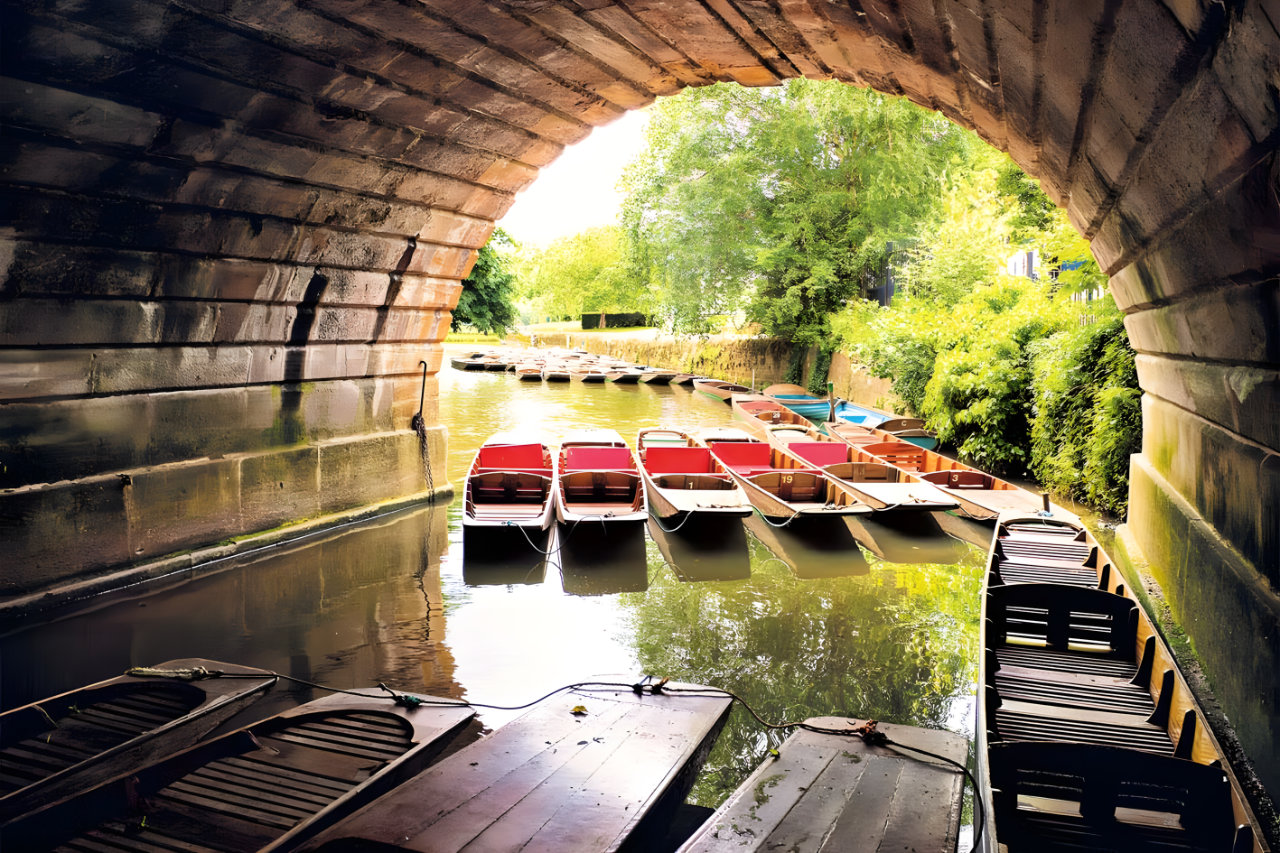 Oxford-university-mla-19