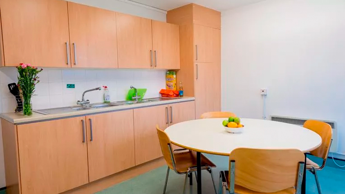 Shared Kitchen Great Dover Street -Kings College