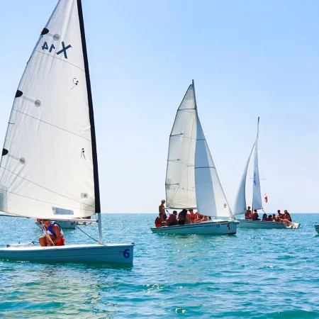 Groups of students learning to sail dinghies on a calm blue sea