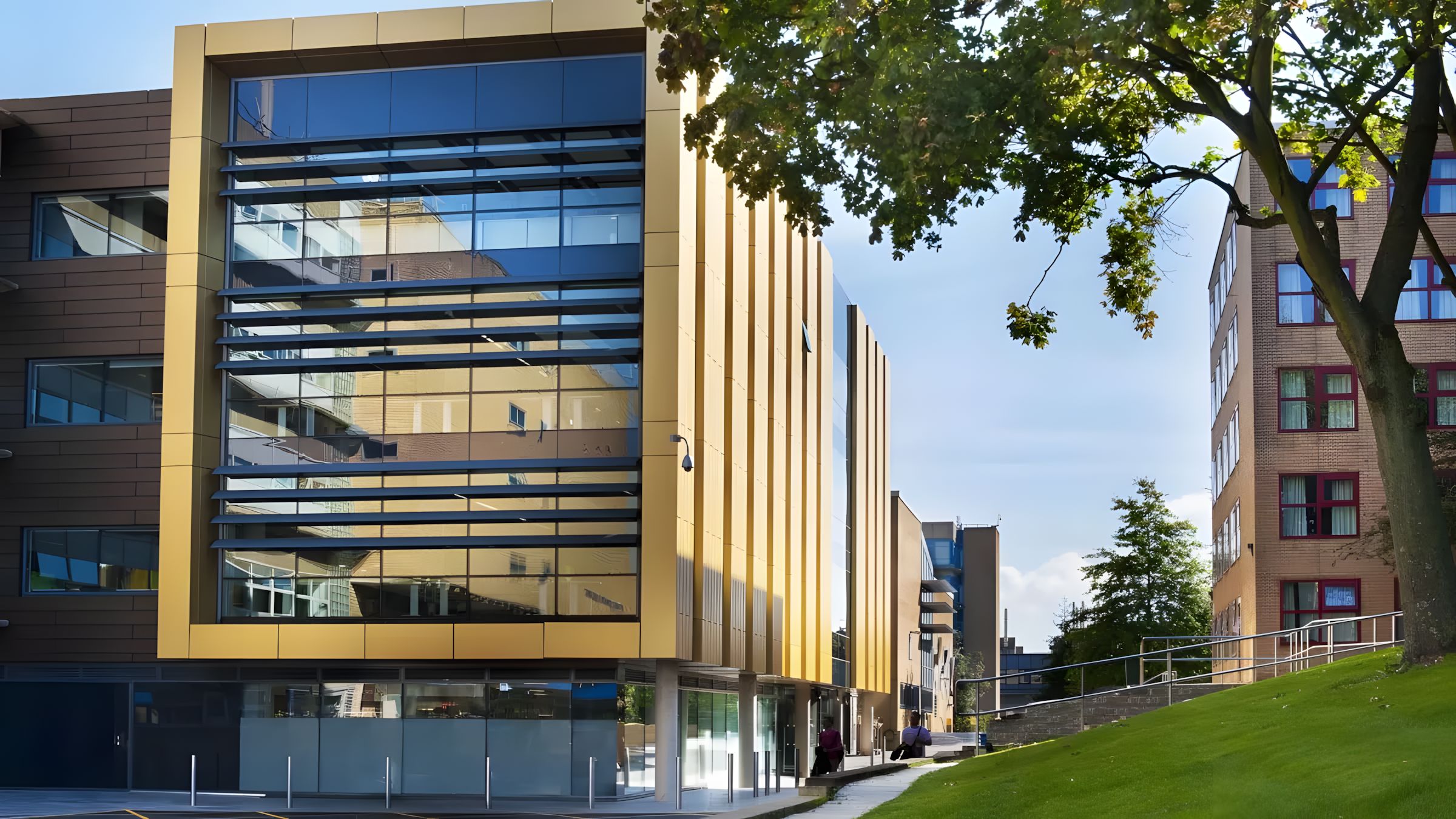 london-guildofrd-university-of-surrey-mla-5