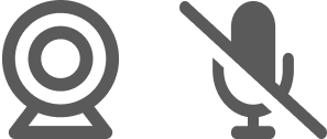 microphon and webcam icon